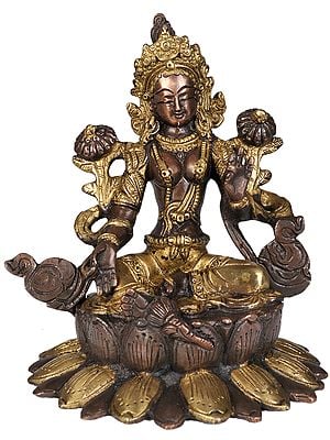 6" Tibetan Buddhist Goddess Green Tara Statue in Brass | Handmade | Made in India