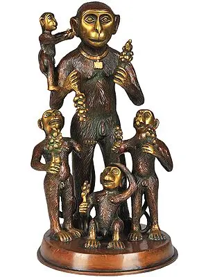 Monkey Family
