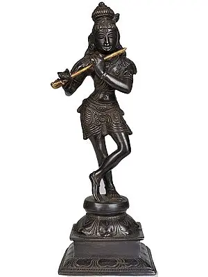 Fluting Krishna as Black Beauty