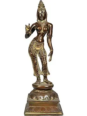 Goddess Parvati