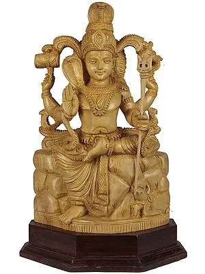 Lord Shiva Seated on Mount Kailash