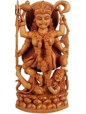 Goddess Kali