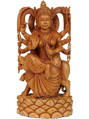Sheran-Wali Maata (Goddess Durga)