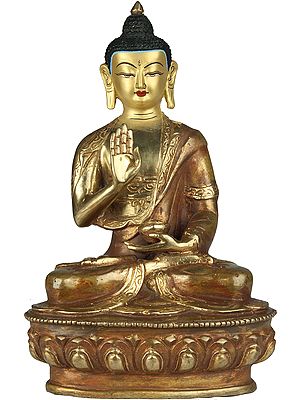 Lord Buddha Granting Abhaya