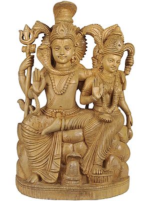 Lord Shiva and Goddess Parvati