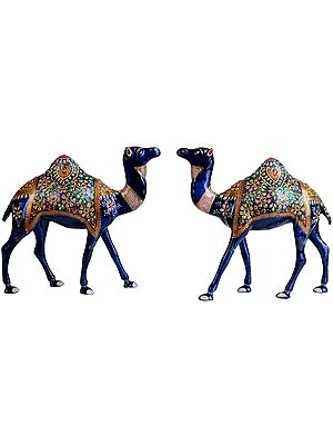 Camel Pair (Saddle Decorated with Flowers and Leaves)
