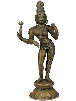 Shiva as Ardhanarishvara