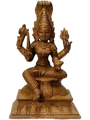 Annapurna Devi