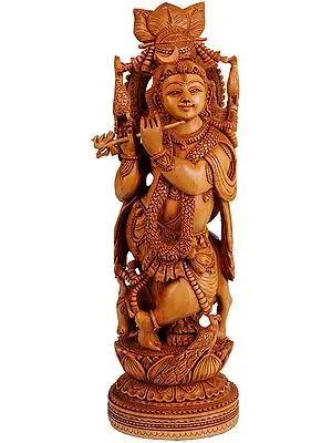 Murali Krishna