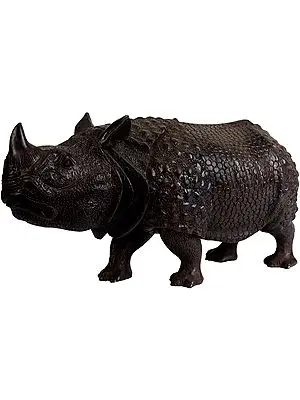 Rhinoceros