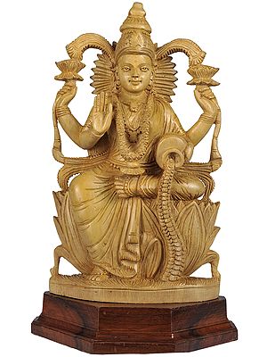 Goddess Lakshmi