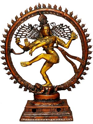 40" Large Size Nataraja in Golden and Brown Hues In Brass | Handmade | Made In India