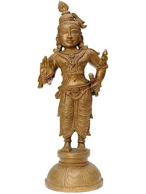 Katihasta Krishna with Parrot