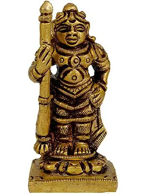 Vaman Avatar