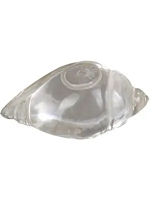 Crystal Conch with Vishnu's Chakra