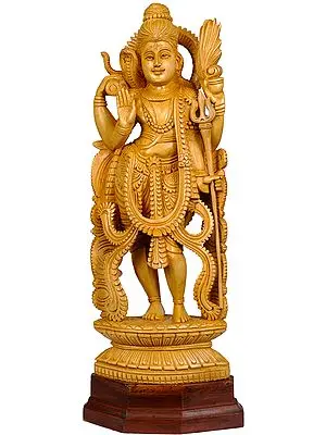Lord Shiva