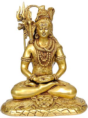 10" Mahayogi Shiva in Meditation In Brass | Handmade | Made In India