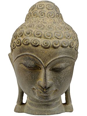 Lord Buddha Head