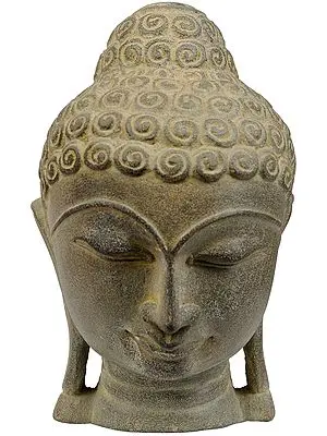 Lord Buddha Head