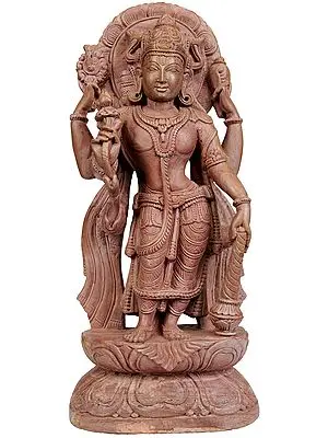 Lord Vishnu - Sustainer of Universe