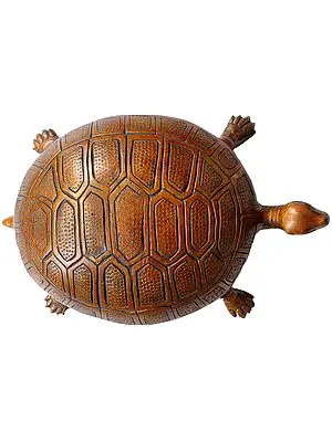 8" Brass Feng Shui Tortoise Statue | Handmade | Made in India
