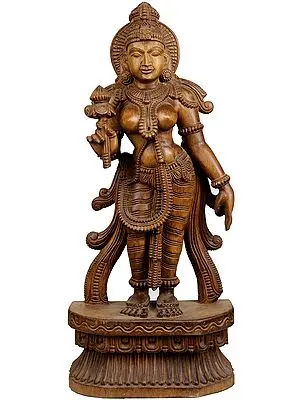 Devi: The Divine Feminine South Indian Temple Wood Carving Statue
