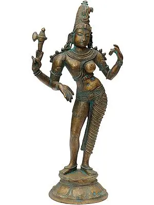 Ardhanarishvara  (Shiva Shakti)