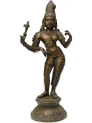 Ardhanarishvara (Shiva-Shakti)