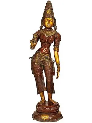 45" Padmadharini Parvati In Brass | Handmade | Made In India