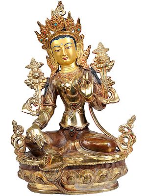 Saviour Goddess Green Tara (Tibetan Buddhist Deity)