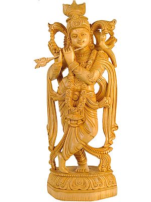 Lord Krishna Playing on Flute