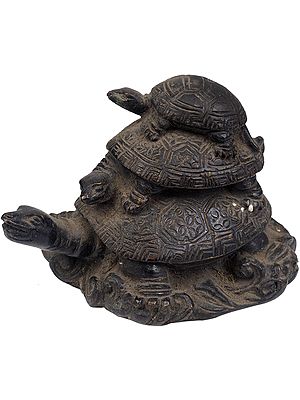 Feng Shui Tortoise