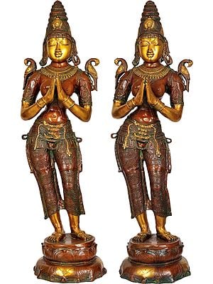 44" Large Size Dwara-Devi in Pair (Pair of Celestial Doorkeepers Flanking Temple Doors) In Brass | Handmade | Made In India
