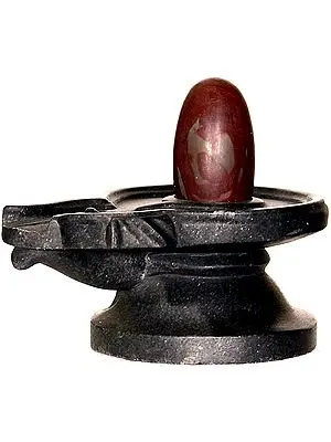 Narmada Valley Shiva Linga with Black Stone Base