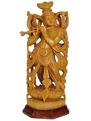 Lord Krishna Playing on Flute