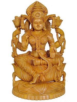Lakshmi the Goddess Who Gives Money