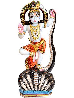 Bhagawan Krishna Dancing on the Serpent Kaliya
