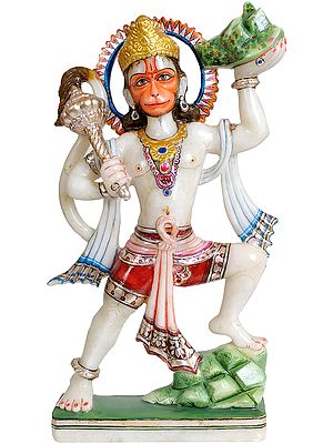 Hanuman Ji Carrying Mount Dron of Sanjeevani Herbs