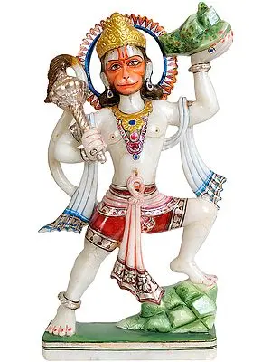 Hanuman Ji Carrying Mount Dron of Sanjeevani Herbs