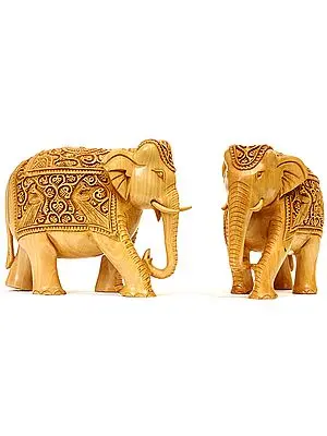 Pair of Elephants