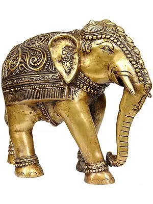 Elephant with Decorative Over-Cloth