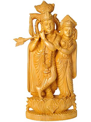 Bhagawan Krishna and Radha