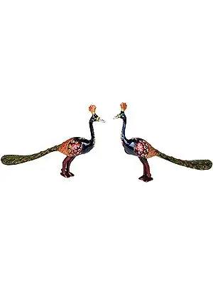 Pair of Peacocks