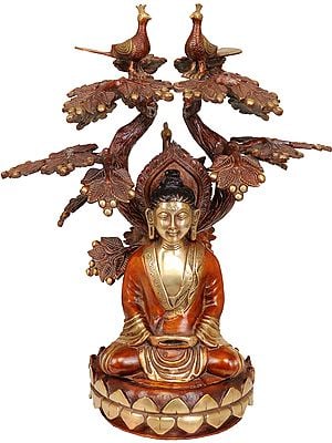 16" Lord Buddha Under the Bodhi-Tree In Brass | Handmade | Made In India