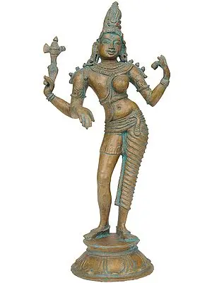 Ardhanarishvara (Shiva-Shakti)