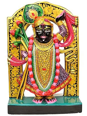 Shri Krishna as Shrinath Ji