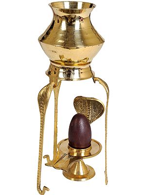 Assembly to Bath Shiva Linga with Dripping Vase for Milk