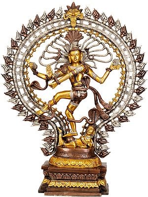 28" Large Size Triple Hued Nataraja Dancing on Apasmar (Obstacles) In Brass | Handmade | Made In India