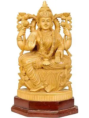 Lakshmi the Goddess Who Gives Money