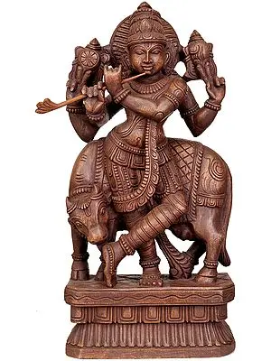 Cosmic Form of Lord Krishna